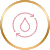 boosts-blood-circulation.webp